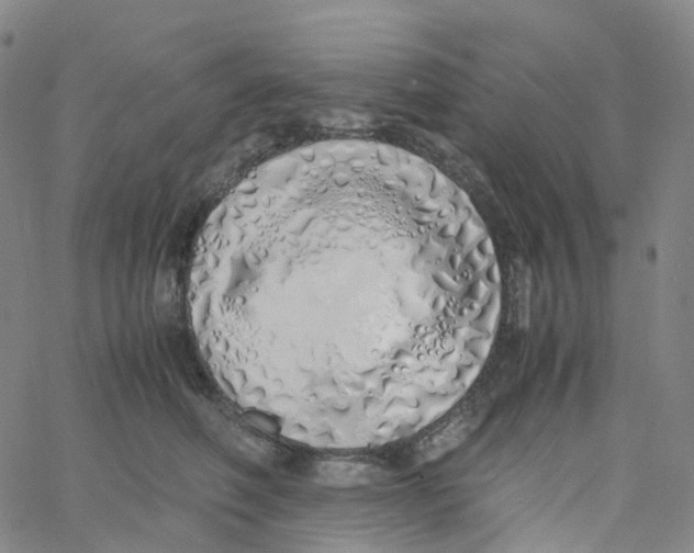 X0000060780614200512082100