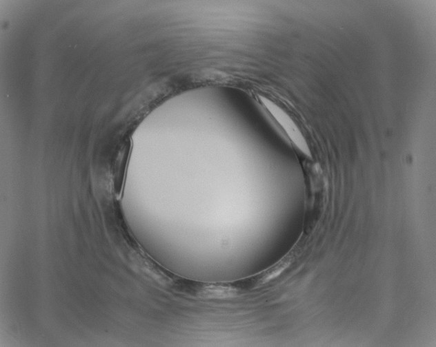 X0000060780617200512082100