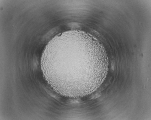 X0000060780618200512082100