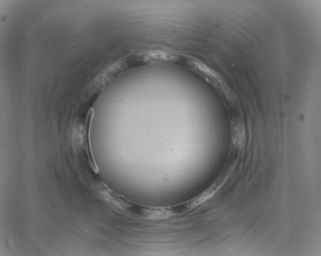 X0000060780621200512082100