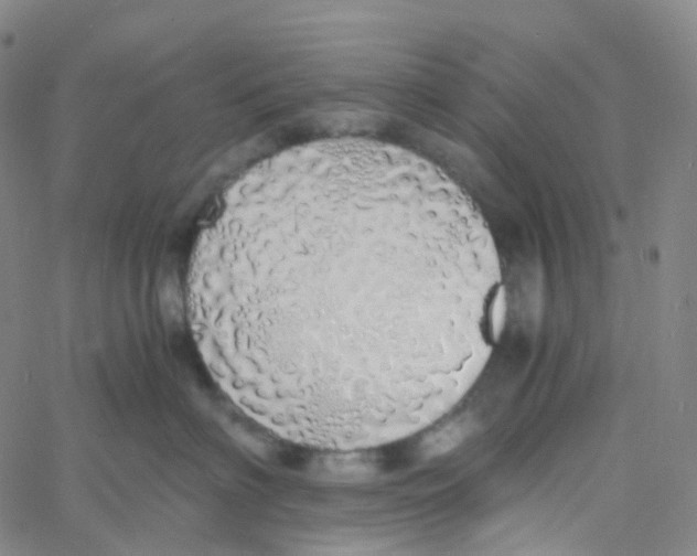 X0000060780622200512082100
