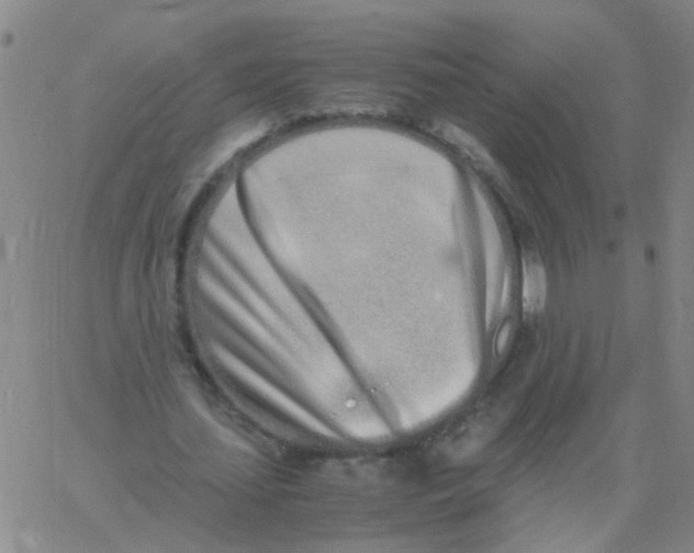 X0000060780627200512082059