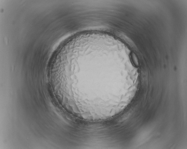 X0000060780628200512082059