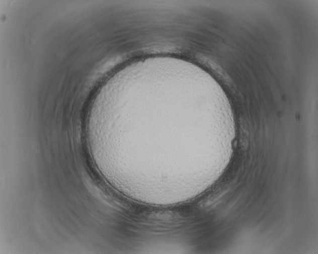 X0000060780631200512082059
