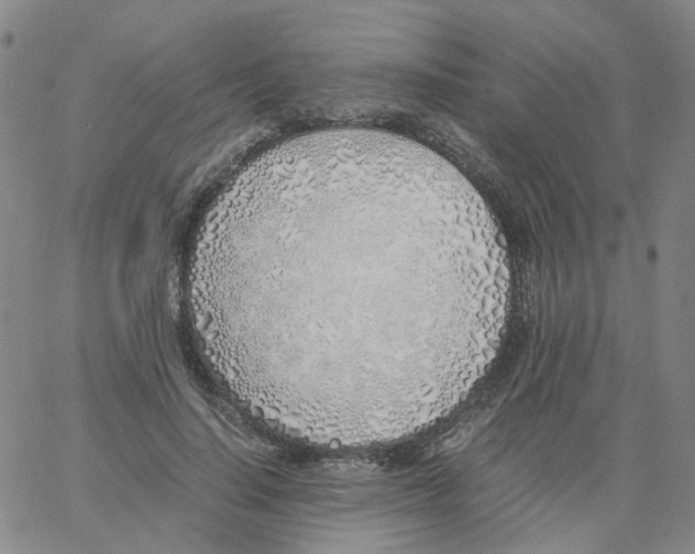 X0000060780644200512082100
