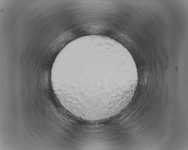 X0000060780646200512082100