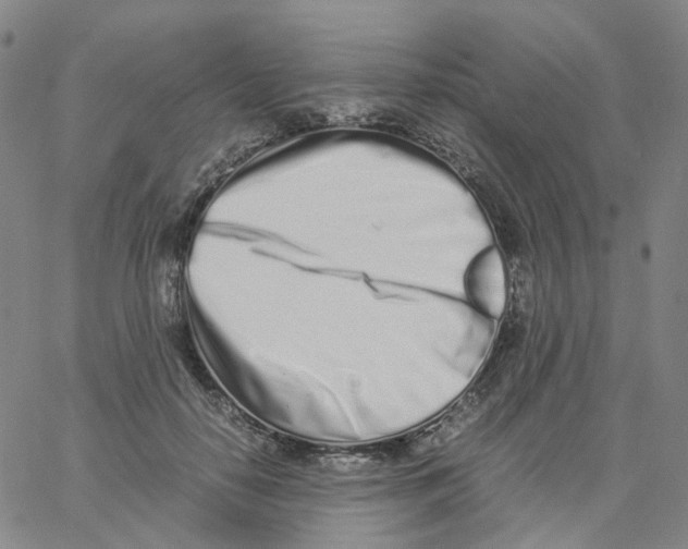 X0000060780650200512082100