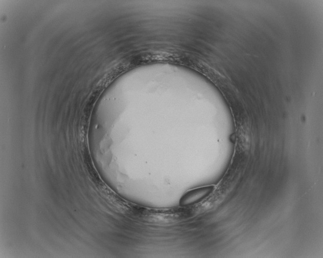 X0000060780657200512082100
