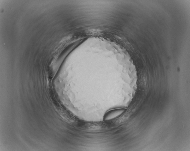 X0000060780658200512082100