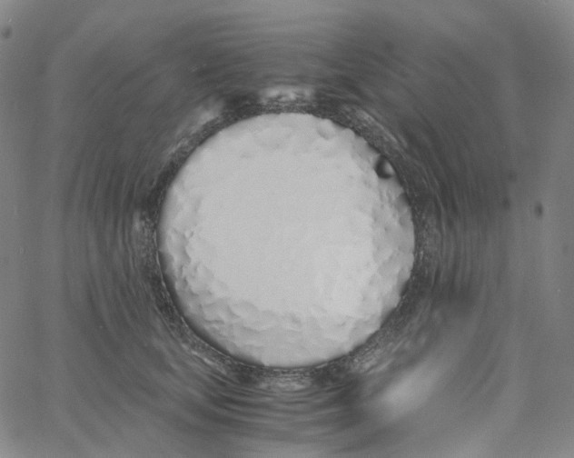X0000060780659200512082100