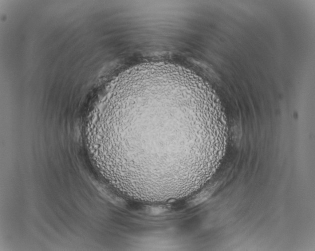 X0000060780662200512082100