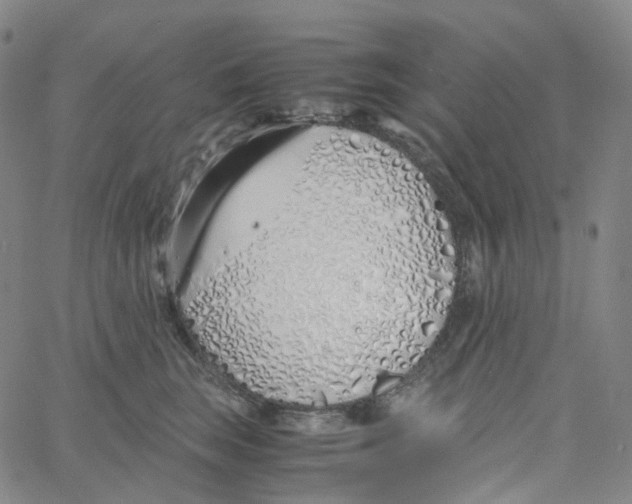 X0000060780663200512082100