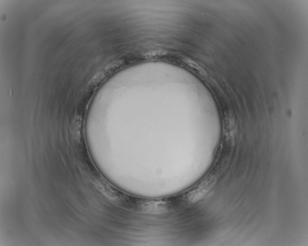 X0000060780664200512082100