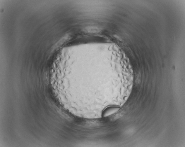 X0000060780666200512082100
