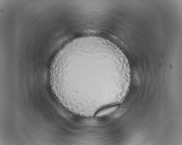 X0000060780668200512082100