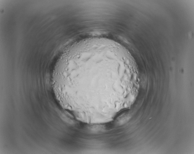 X0000060780670200512082100