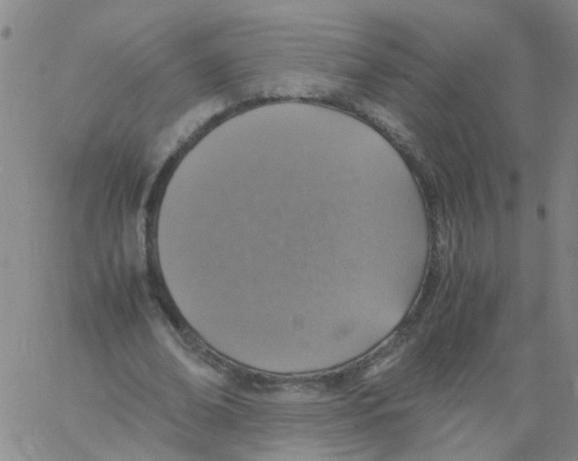X0000060780678200512082059