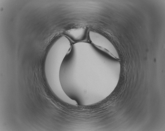 X0000060780691200512082059