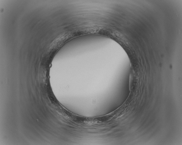 X0000060780693200512082059
