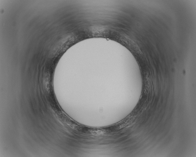 X0000060780698200512082059
