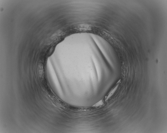 X0000060780704200512082059