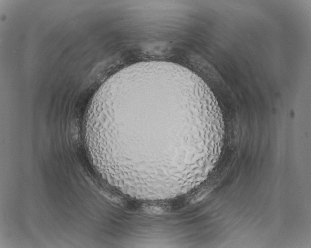 X0000060780706200512082059