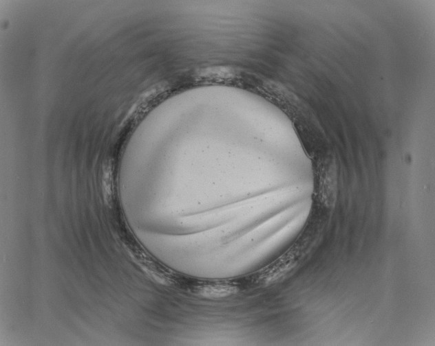 X0000060780708200512082059