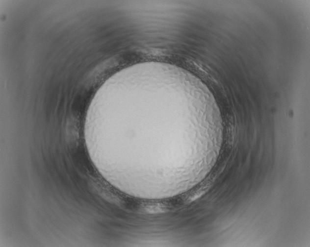 X0000060780710200512082059