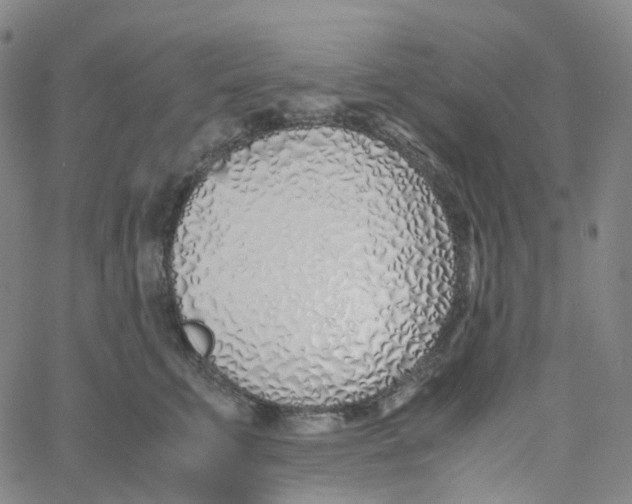 X0000060780711200512082059