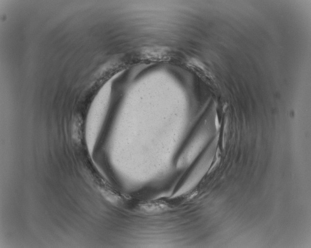 X0000060780712200512082059