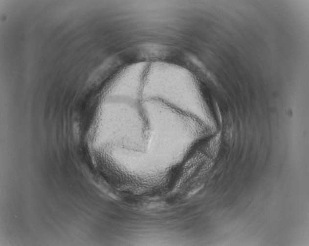 X0000060780716200512082059
