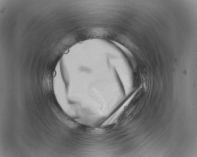 X0000060780718200512082058