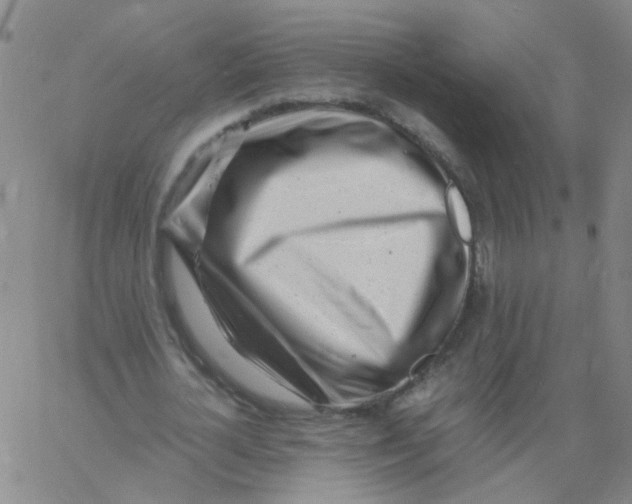 X0000060780724200512082058