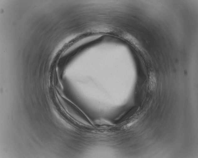 X0000060780726200512082058
