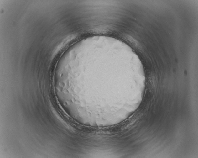 X0000060780734200512082058
