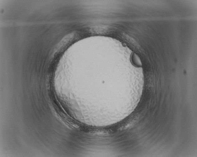 X0000060780738200512082058