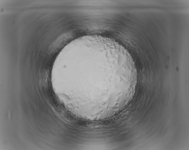 X0000060780742200512082058