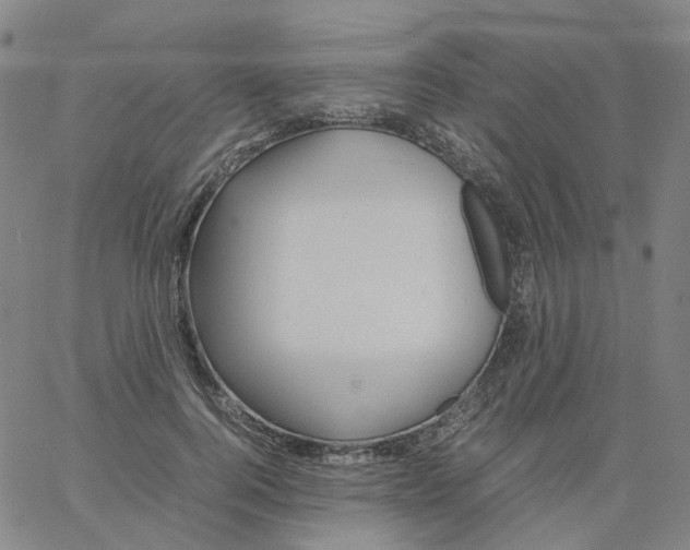 X0000060780744200512082058