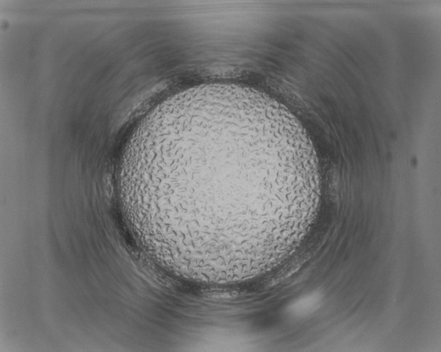 X0000060780746200512082058