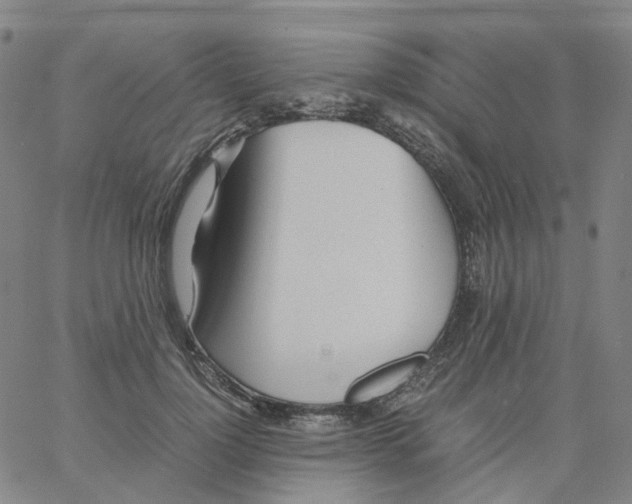 X0000060780748200512082058