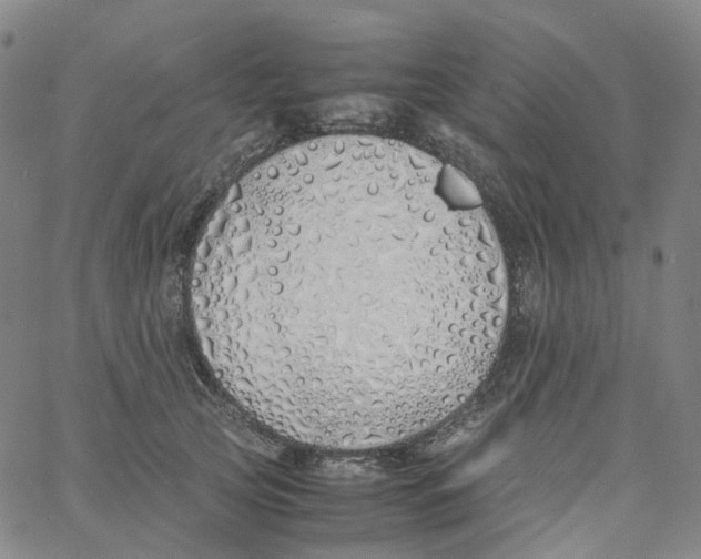 X0000060780753200512082058