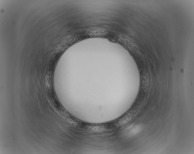 X0000060780755200512082058