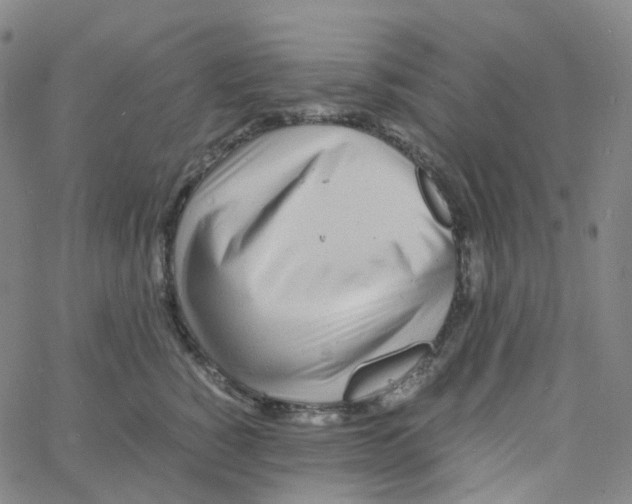 X0000060780760200512082058