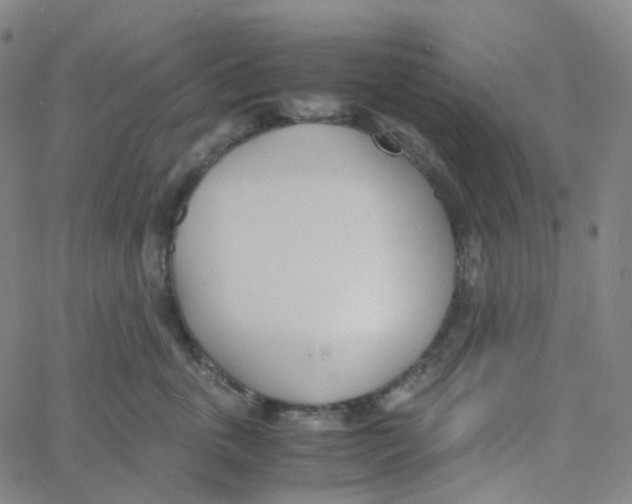 X0000060780763200512082058