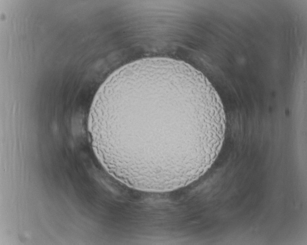 X0000060780770200512082058
