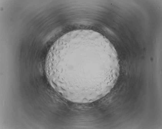 X0000060780774200512082058