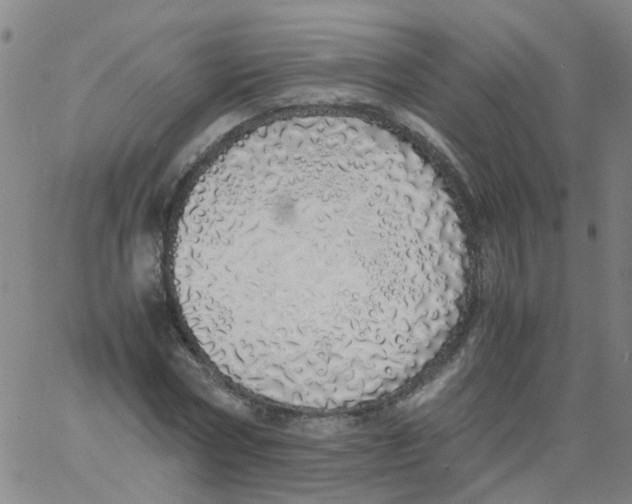 X0000060780778200512082058
