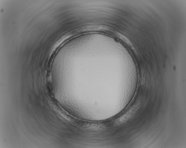 X0000060780786200512082057