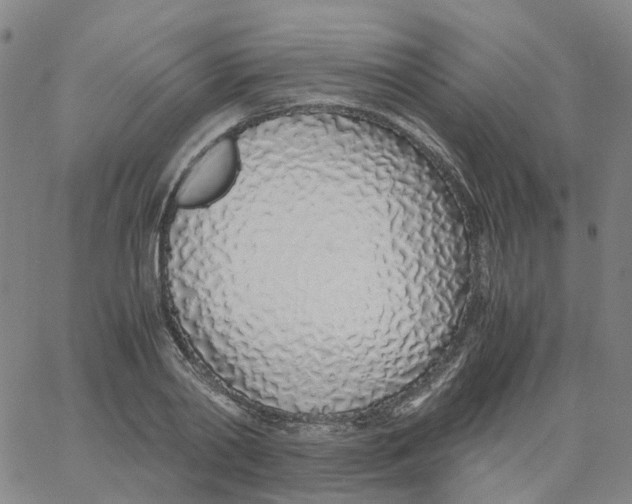X0000060780790200512082057