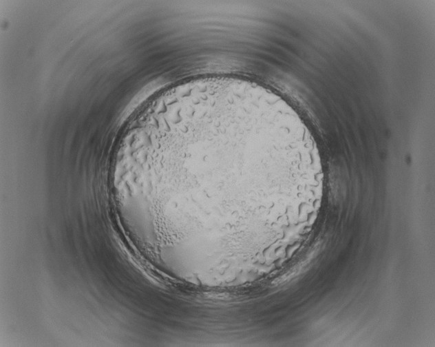 X0000060780794200512082057